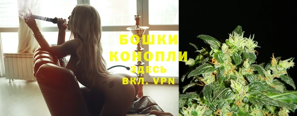 гидра Белоозёрский