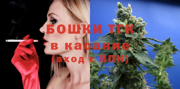 spice Богданович