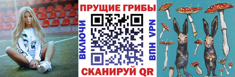Псилоцибиновые грибы Psilocybine cubensis  Купить где  Мантурово 